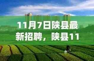 陕县最新招聘启幕,与自然美景的邂逅,寻找平和之旅