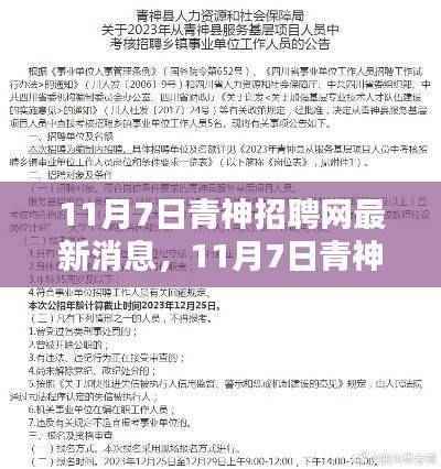 11月7日青神招聘网更新,求职者的任务指南与技能进阶攻略