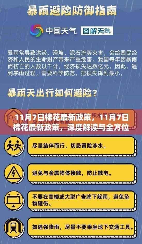 深度解读与全方位评估,11月7日棉花最新政策解析与影响展望