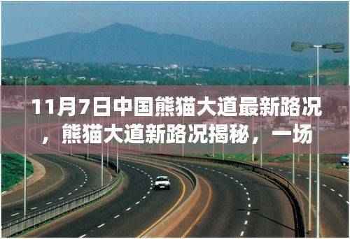 中国熊猫大道最新路况揭秘,绿色旅行,探寻内心平静的旅程