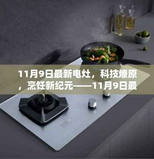 科技燎原烹饪革新,最新电灶体验报告揭秘烹饪新纪元