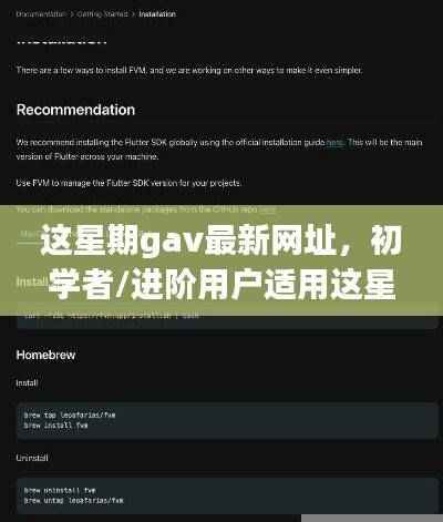 Gav最新网址访问指南,适合初学者与进阶用户的详细步骤指南
