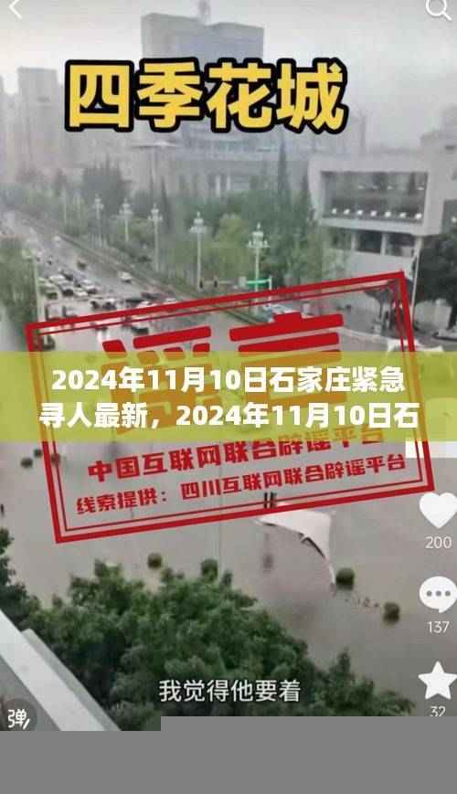 深度解析,石家庄紧急寻人事件背景与寻找过程进展