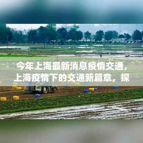 上海疫情下交通新篇章,探索自然美景,宁静之旅的最新消息