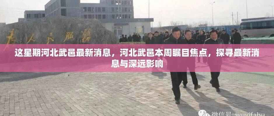 河北武邑本周焦点,最新消息及其深远影响探索
