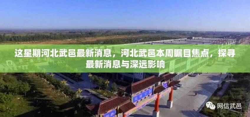 河北武邑本周焦点,最新消息及其深远影响探索