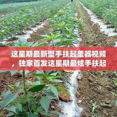 走马观花 第46页