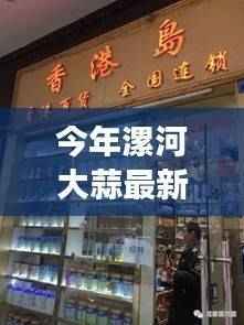 今年漯河大蒜最新价格表,小巷隐香独特风味小店探秘之旅