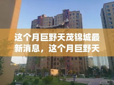 深度解读巨野天茂锦城本月最新动态及消息更新