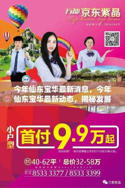 揭秘仙东宝华最新动态,发展蓝图曝光,美好未来展望启动