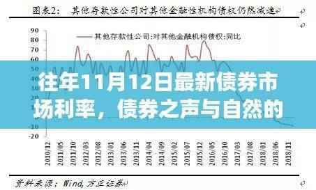 债券市场利率更新日，与自然旋律共舞的心灵之旅