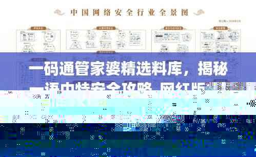 一码通管家婆精选料库,揭秘一语中特安全攻略_网红版XDT976.28