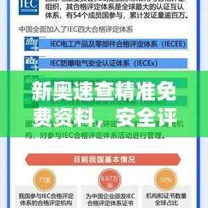 新奥速查精准免费资料,安全评估策略揭秘版OHS51.37