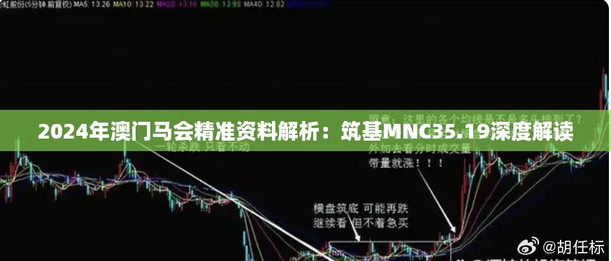 2024年澳门马会精准资料解析:筑基MNC35.19深度解读