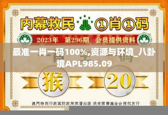 最准一肖一码100%,资源与环境_八卦境APL985.09