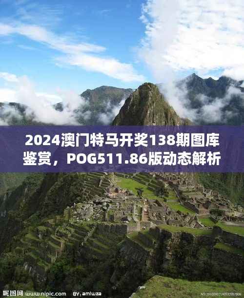 2024澳门特马开奖138期图库鉴赏,POG511.86版动态解析