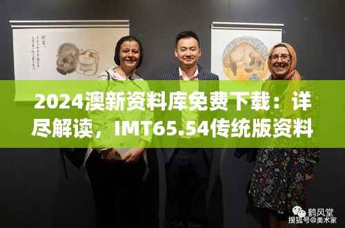 2024澳新资料库免费下载：详尽解读，IMT65.54传统版资料获取