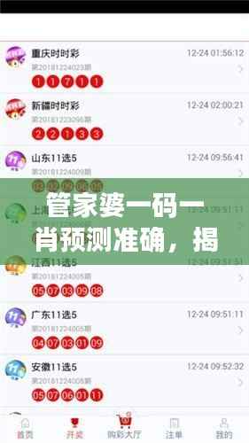 管家婆一码一肖预测准确,揭秘全新攻略解析版OKD195.2