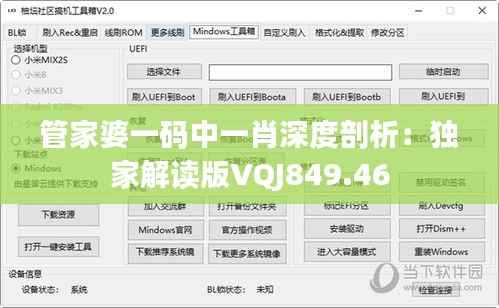 管家婆一码中一肖深度剖析:独家解读版VQJ849.46
