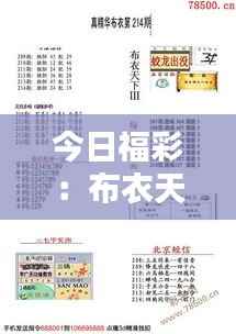 今日福彩:布衣天下123456新版发布,环境科学与工程VEF85.32整合版揭晓