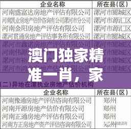 澳门独家精准一肖,家庭版安全评估策略方案DQL948.3