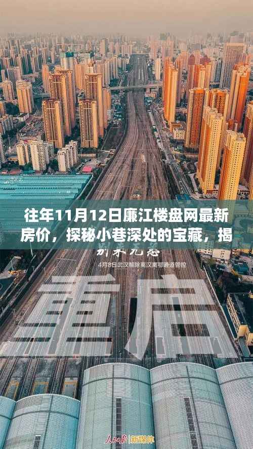 探秘廉江楼盘网最新房价与独特小店的冬日故事,揭秘小巷深处的宝藏房源动态