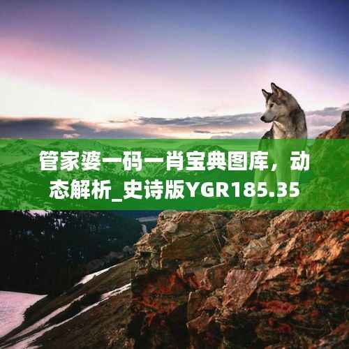 管家婆一码一肖宝典图库,动态解析_史诗版YGR185.35