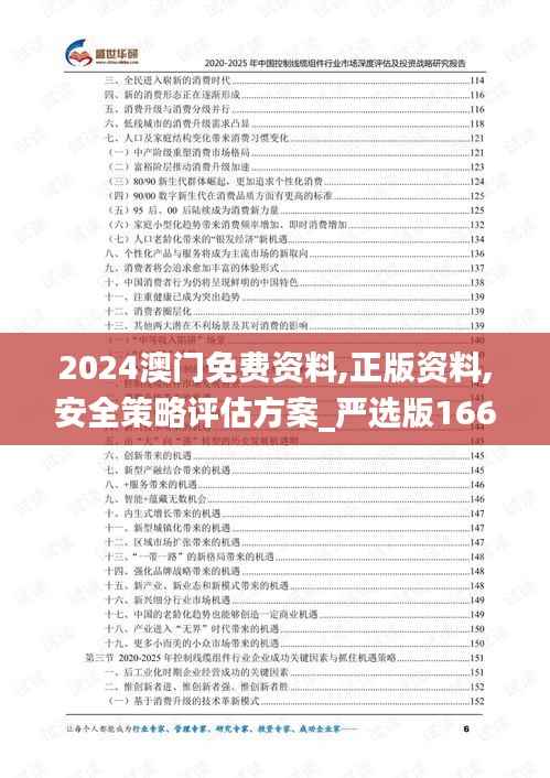 2024澳门免费资料,正版资料,安全策略评估方案_严选版166.58