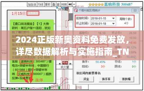 2024正版新奥资料免费发放,详尽数据解析与实施指南_TNS519.8升级版