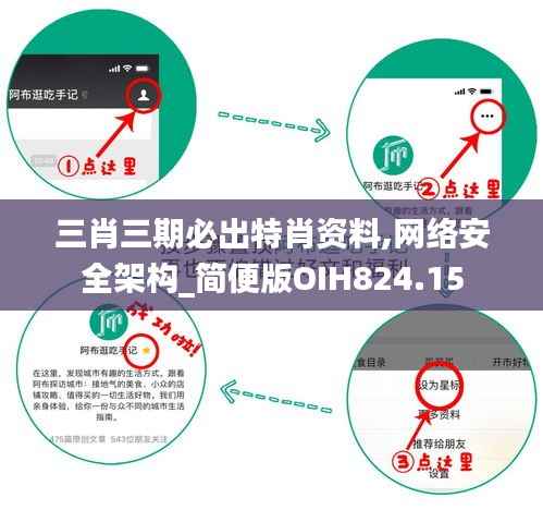三肖三期必出特肖资料,网络安全架构_简便版OIH824.15