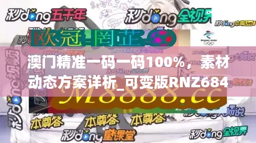 澳门精准一码一码100%,素材动态方案详析_可变版RNZ684.53