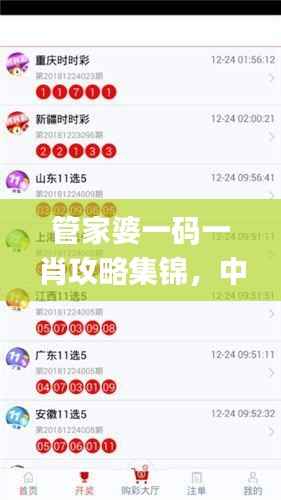 管家婆一码一肖攻略集锦,中级安全解码策略_KZN847.32
