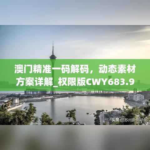 澳门精准一码解码，动态素材方案详解_权限版CWY683.95