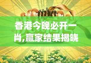 香港今晚必开一肖,赢家结果揭晓_可变版NTE303.34