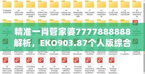 精准一肖管家婆7777888888解析，EKO903.87个人版综合解读