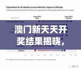 澳门新天天开奖结果揭晓,深度解析研究报告全版YHJ691.38
