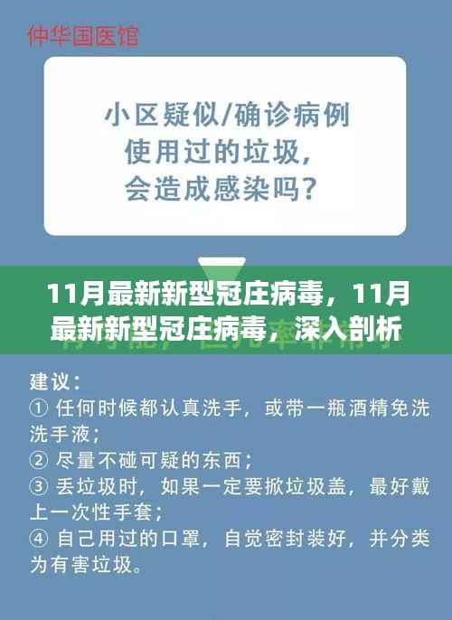 关于新型冠庄病毒,深入剖析与观点阐述(最新分析,11月版)