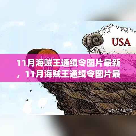最新11月海贼王通缉令图片发布,热血海贼身影震撼再现