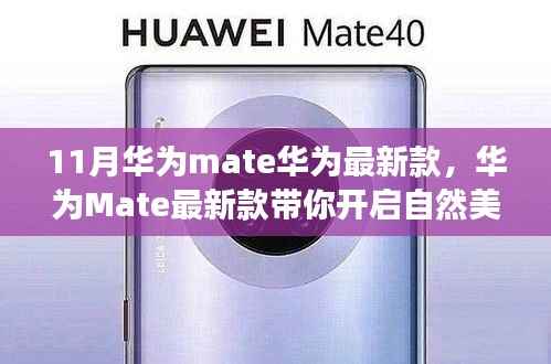 文质彬彬 第26页