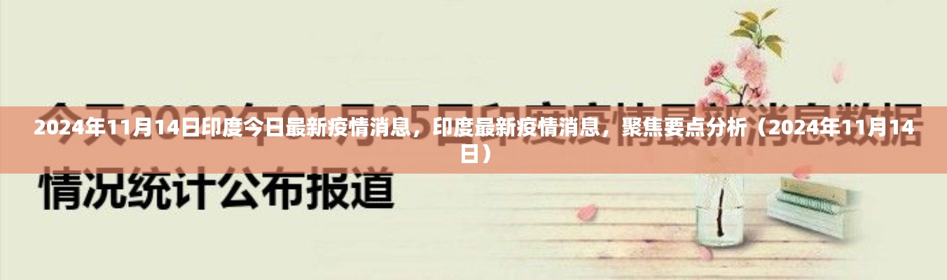 2024年11月14日印度疫情最新消息与要点分析
