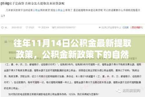公积金新政下的自然之旅,带上心灵出发,体验最新提取政策的日子(11月14日)