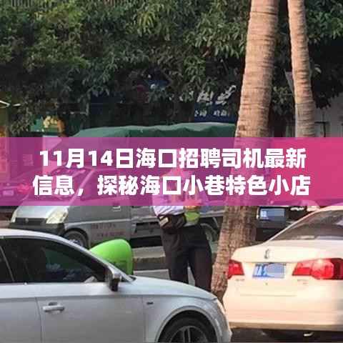 海口招聘司机最新信息,探秘特色小店,11月14日招募司机