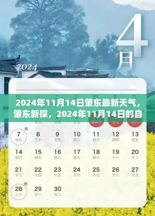 肇东市天气预报,探索心灵与自然之旅的静谧之旅日(2024年11月14日)