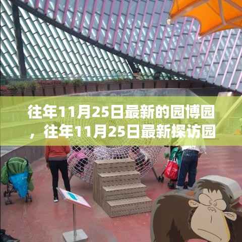 往年11月25日深度探访园博园,最新游览体验与深度探索之旅