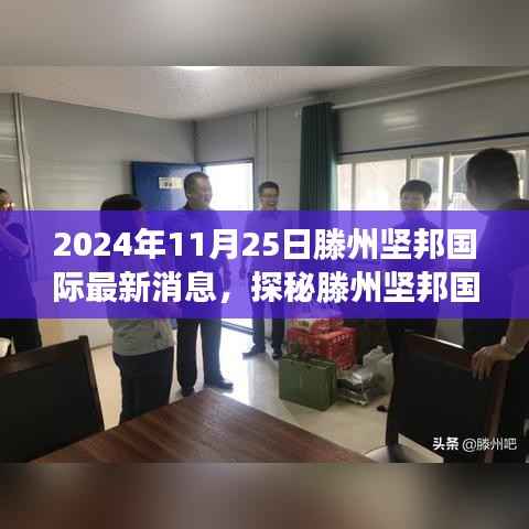 独家新鲜报道,滕州坚邦国际隐秘小巷的美食秘境——2024年11月25日最新探秘