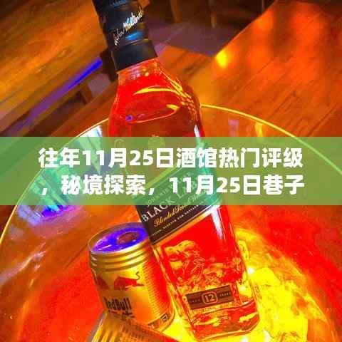 秘境探索,揭秘往年11月25日巷子深处的醉人酒馆评级