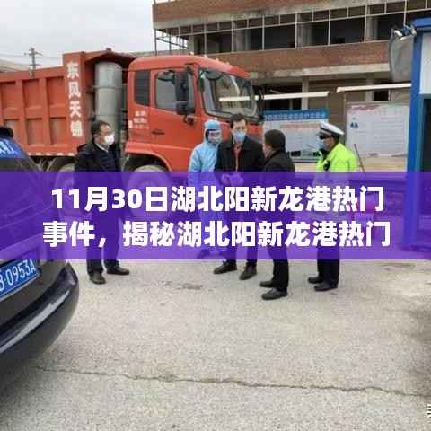 湖北阳新龙港热门事件揭秘,探寻真相,洞悉前沿动态
