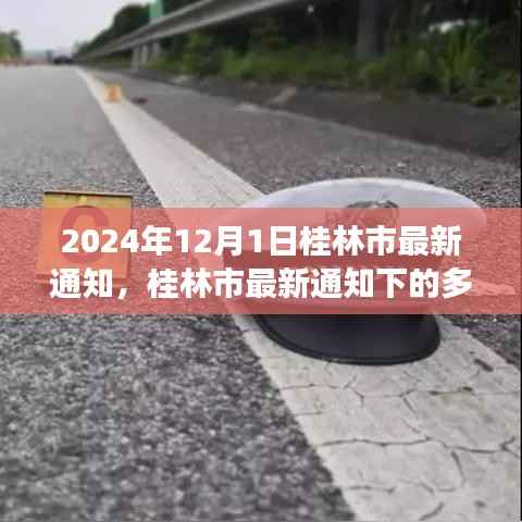 桂林市最新通知下的多元观点深度探析,多元视角看桂林发展动态