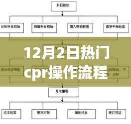 揭秘十二月二日最新CPR操作流程，专业指南与实用科普知识分享