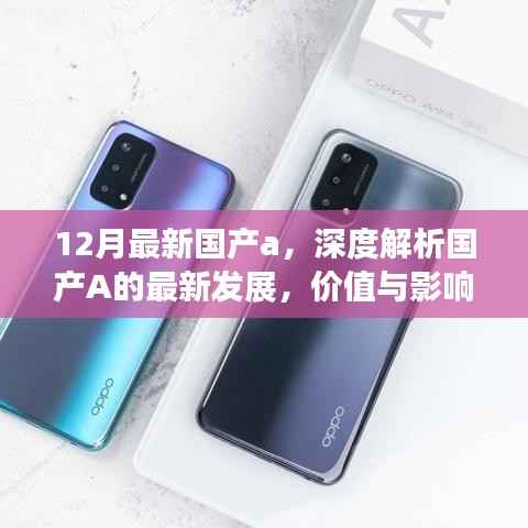 深度解析国产A的最新发展,价值及影响——十二月最新国产a概览